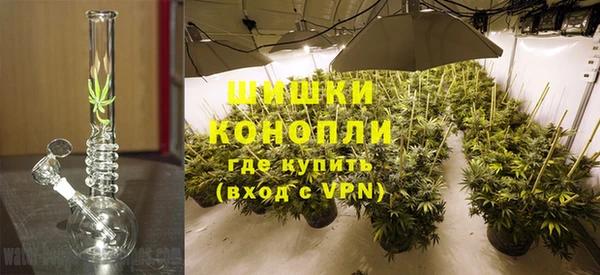 PSILOCYBIN Богородск