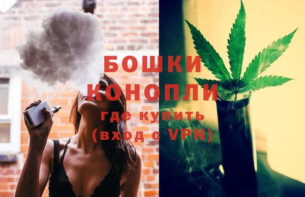 apvp Богданович