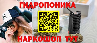 mix Кингисепп